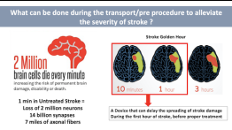 Stroke device