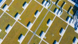 Javits Center Green Roof