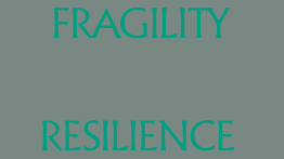 Graphic that says fragility and resilience