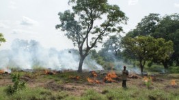 Caubel's design is powered by agricultural waste like grain chaff that is otherwise discarded or burned by farmers.