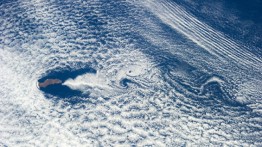 Satelite image of Guadalupe Island, photo by NASA