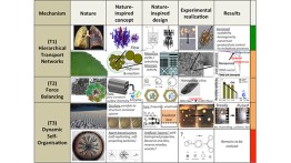 An illustration from Prof. Lepek's poster presented at the AIChE meeting<br><br>