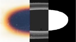 Figure 1: An image of a magnetic fluid region in a model blood vessel, representing a localized theraputing agent, shown in three parts to illustrate the progression from raw image (left) to KMEANS output (center) to a binarized scale (right) for quantifi