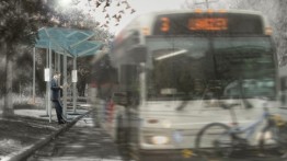 Teddy Kofman's winning bus shelter design