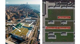 llustrations from 2018 paper by Prof. Cataldo et al. showing an aerial view of the Javits Center roof and the tributary system used for runoff collection on the south green roof.