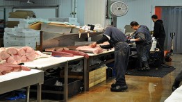 Filleting a Swordfish