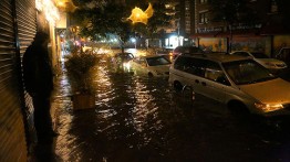 Staying on higher ground, with flooding (photo courtesy Gearoid Dolan)