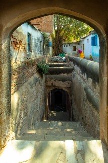 A majestic banyan tree has taken roots in the walls of the abandoned well at Khodiyar maata vaav in Vasna. The stepwell, however, remains overlooked by the local community.